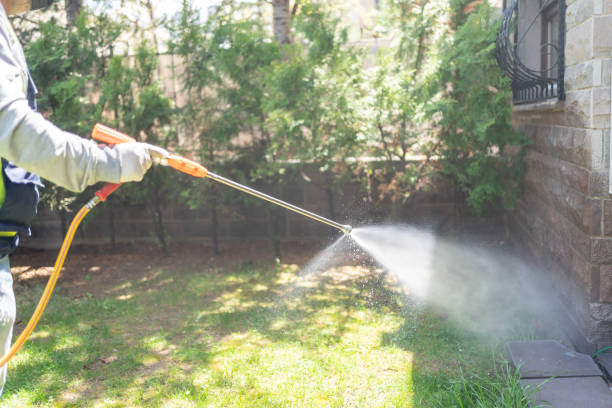 Best Local Pest Control Services  in Pleasant Hill, MO