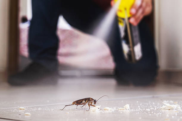 Best Affordable Pest Control Services  in Pleasant Hill, MO