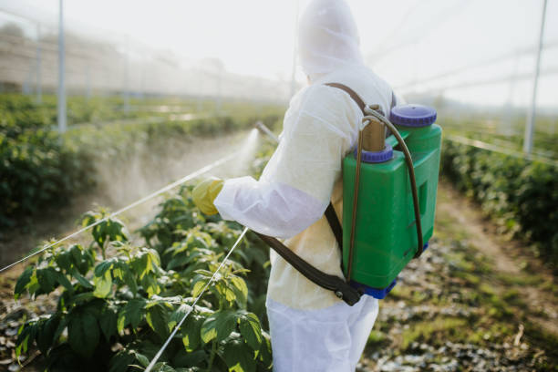 Best Exterminator Services  in Pleasant Hill, MO